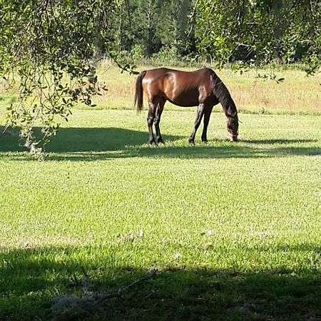 Kokomo Farms Live Oak Exterior foto