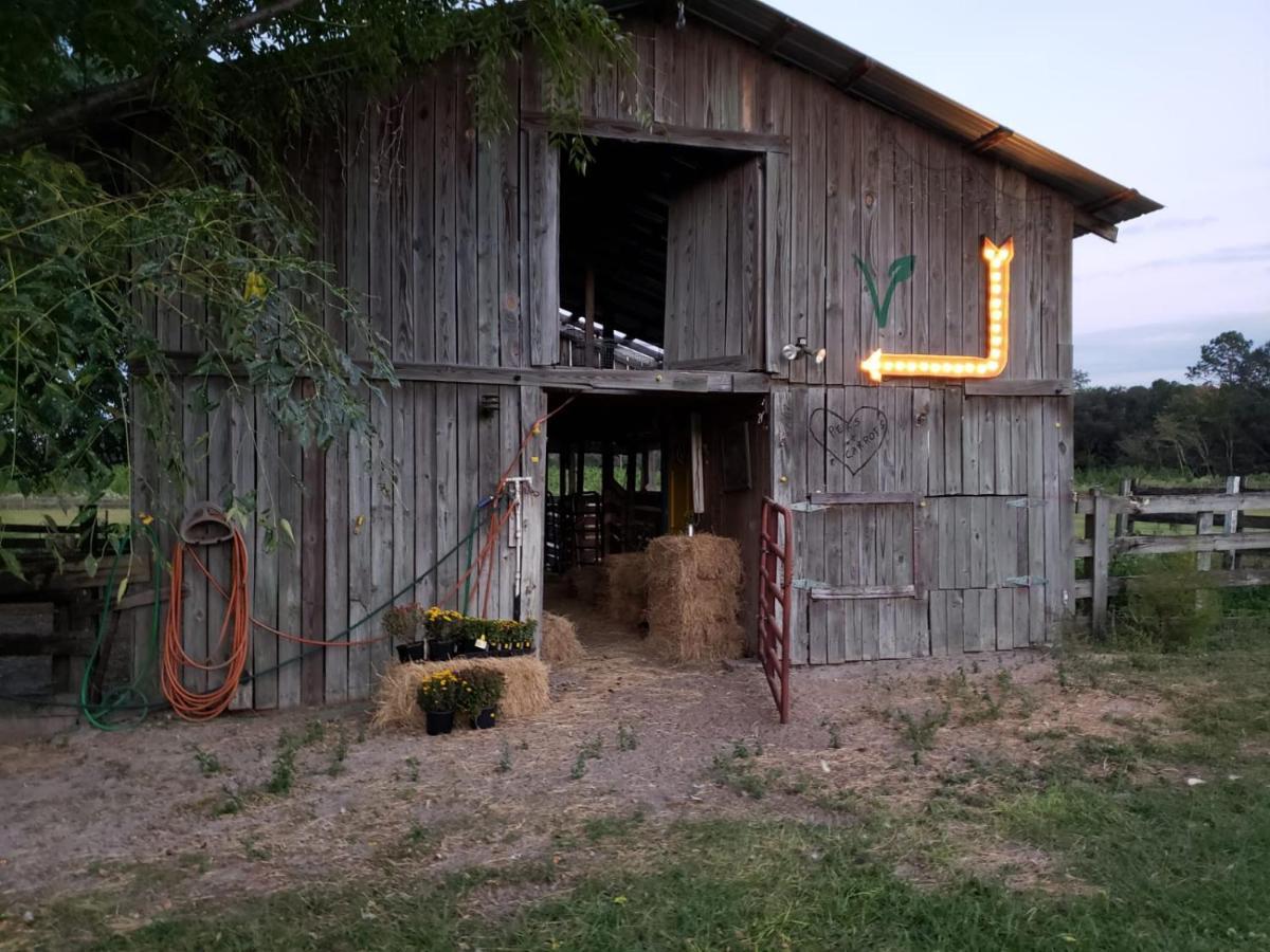 Kokomo Farms Live Oak Exterior foto