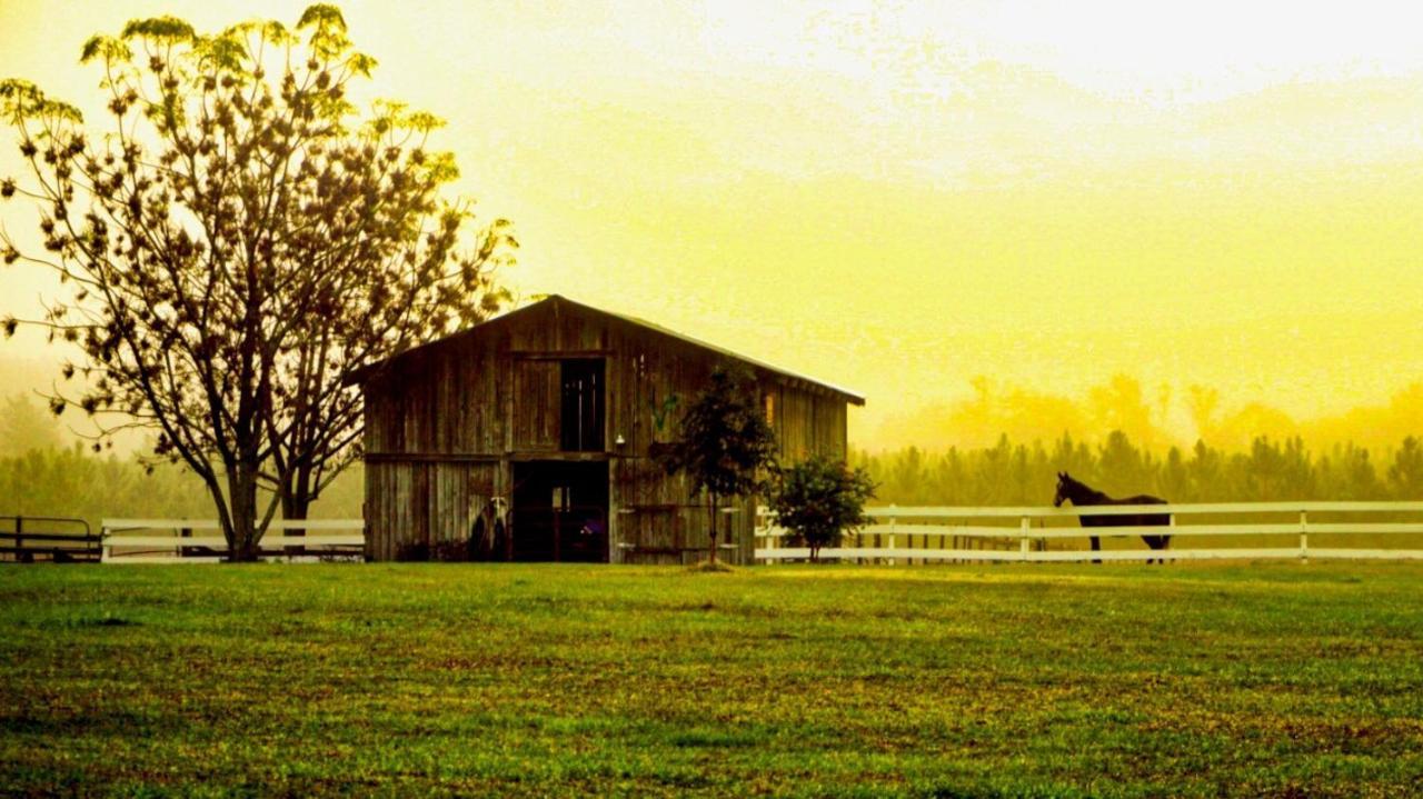 Kokomo Farms Live Oak Exterior foto
